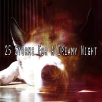 25 Storms For A Dreamy Night