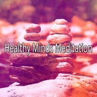 Healthy Minds Meditation