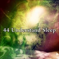 44 Understand Sleep