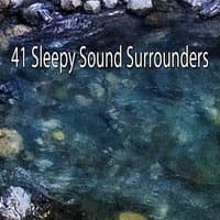 41 Sleepy Sound Surrounders