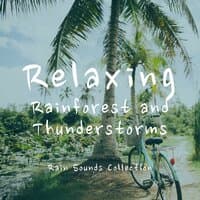 Relaxing Rainforest and Thunderstorms