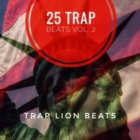 25 Trap Beats, Vol. 2