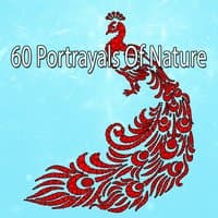 60 Portrayals Of Nature