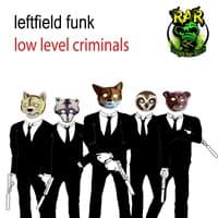 Low Level Criminals