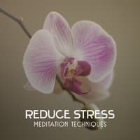 Reduce Stress – Meditation Techniques, Healing Music to Improve Your Mood, Clear Relaxation Sounds