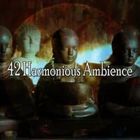 42 Harmonious Ambience