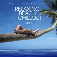 Relaxing Beach Chillout, Vol. 5