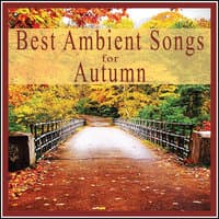 Best Ambient Songs for Autumn