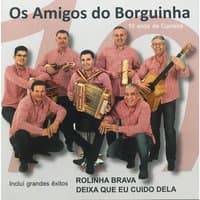 Pombinha Mensageira