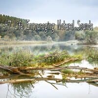 47 Life Encouraging Natural Sounds