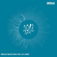 Redux Selection, Vol. 1 / 2025