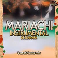 Mariachi Instrumental de Tenampa