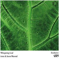 Whispering Leaf