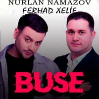 Buse