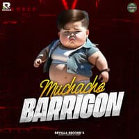 Muchacho Barrigon