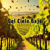 Del Cielo Bajó