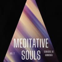 Meditative Souls, Vol. 2