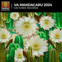 V.A Mandacaru 2024