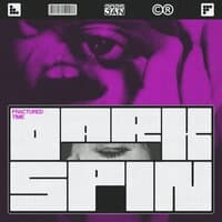 Dark Spin: Fractured Time