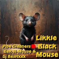 Likkle Black Mouse