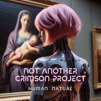 Not Another Crimson Project