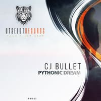 Pythonic Dream