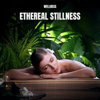 Ethereal Stillness: Spa Music