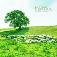 A Collection Of Piano For Clear And Fresh Meditation