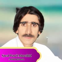 Syed Parti Murshid