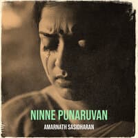 Ninne Punaruvan