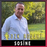 Sosine