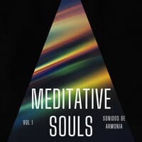 Meditative Souls, Vol. 1