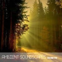 Ambient SoundScapes, Vol. 5