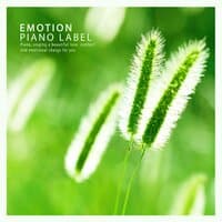 Piano With Clear Emotion For Happy Preaching (Preaching Music)