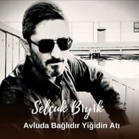 Avluda Bağlıdır Yiğidin Atı