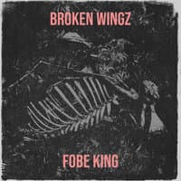 Broken Wingz