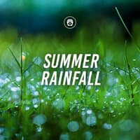 Summer Rainfall