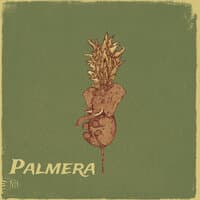 Palmera