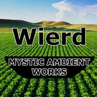 Mystic Ambient Works