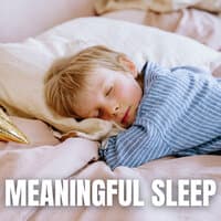 Meaningful Sleep