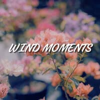 Wind Moments