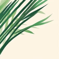 Bamboo