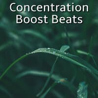 Concentration Boost Beats