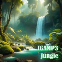 Jungle