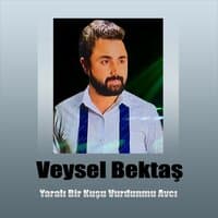 Yaralı Bir Kuşu Vurdunmu Avcı