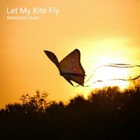 Let My Kite Fly