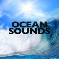 Ocean Sounds