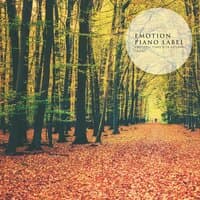 Emotional Piano With Autumnal Energy