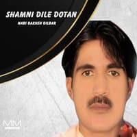 Shamni Dile Dotan