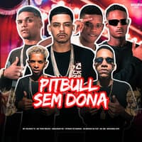 Pitbull Sem Dona